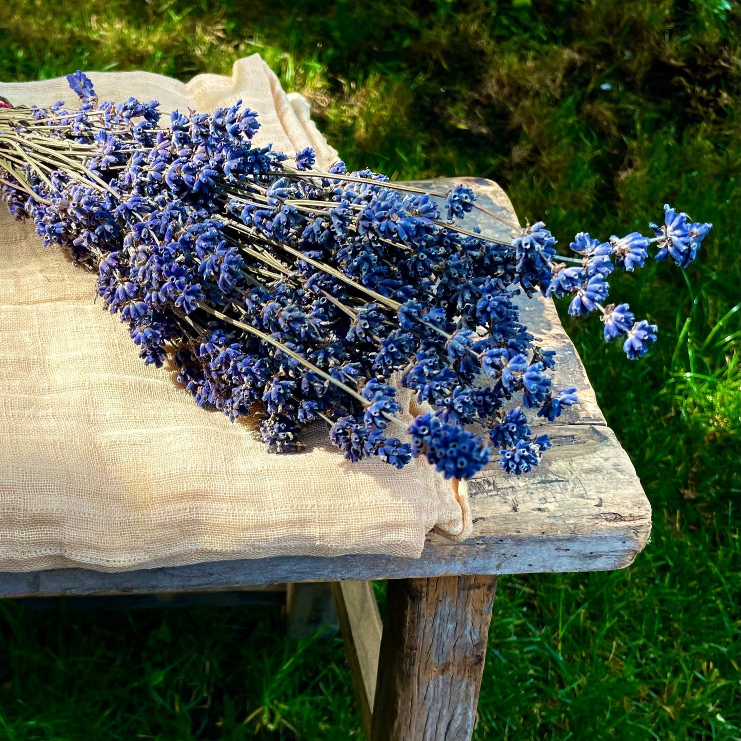 Lavender Hanging Bag: Love-in-Idleness