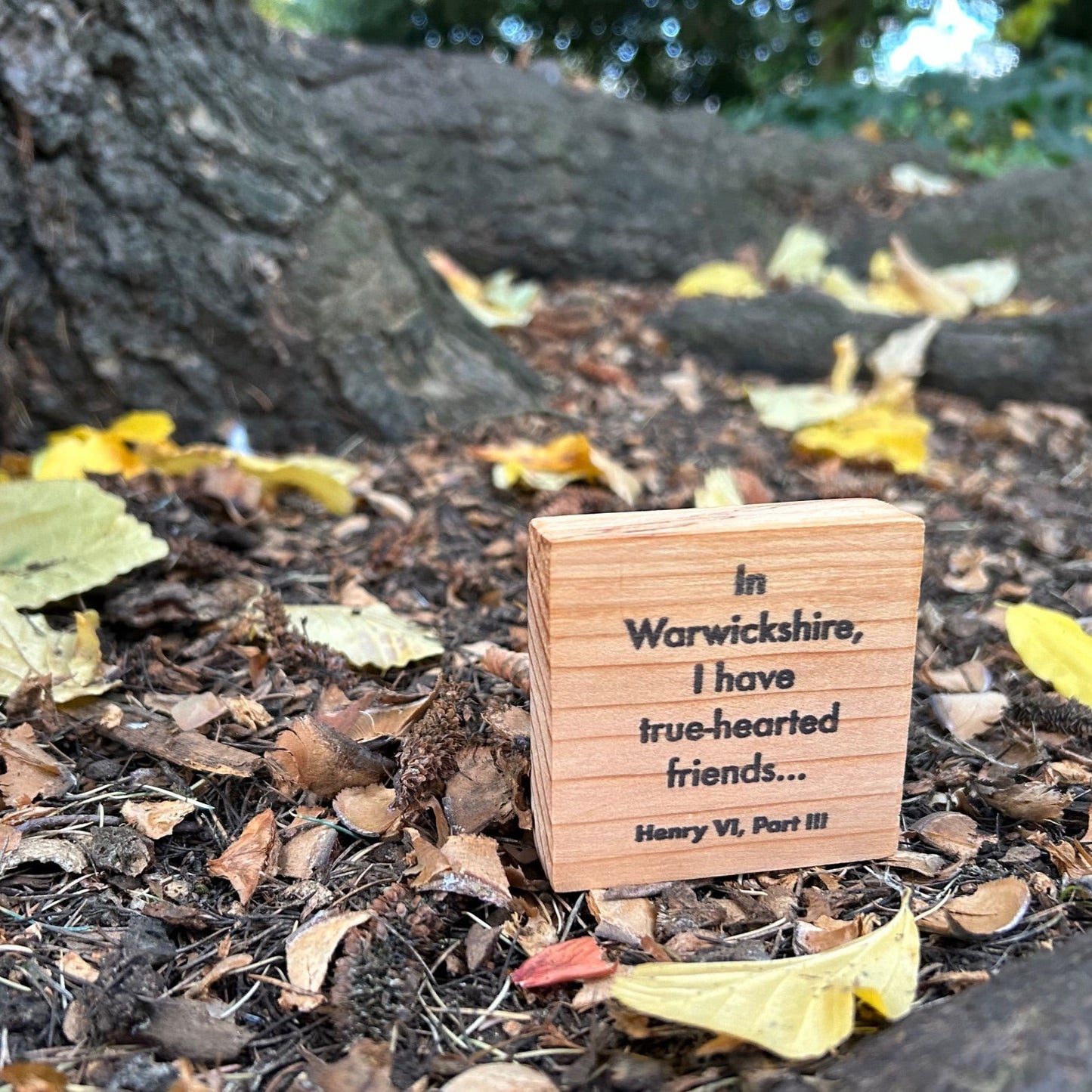 Wooden Shakespeare Quote Block: Cedar 'In Warwickshire, I have true-hearted friends...'