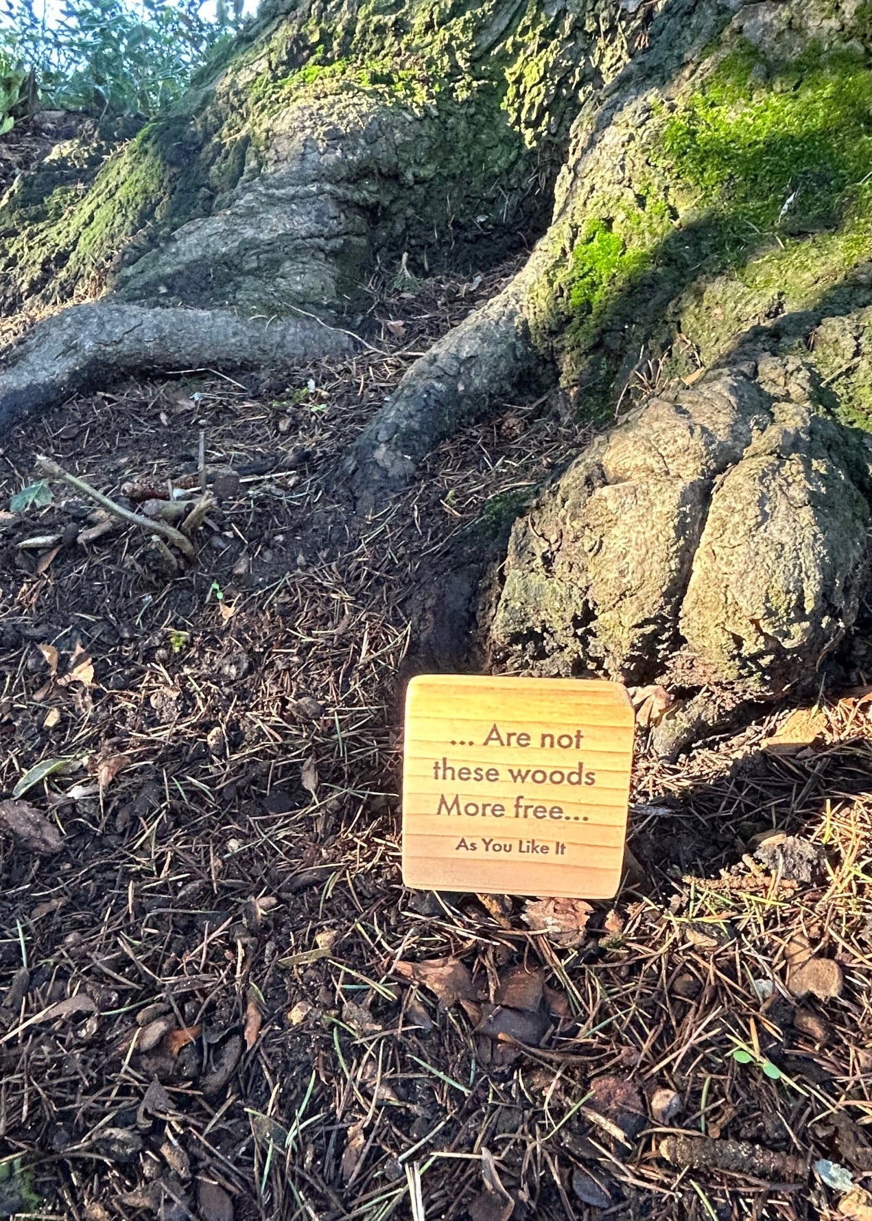 Wooden Shakespeare Quote Block: Cedar. 'Are not these woods More free...'