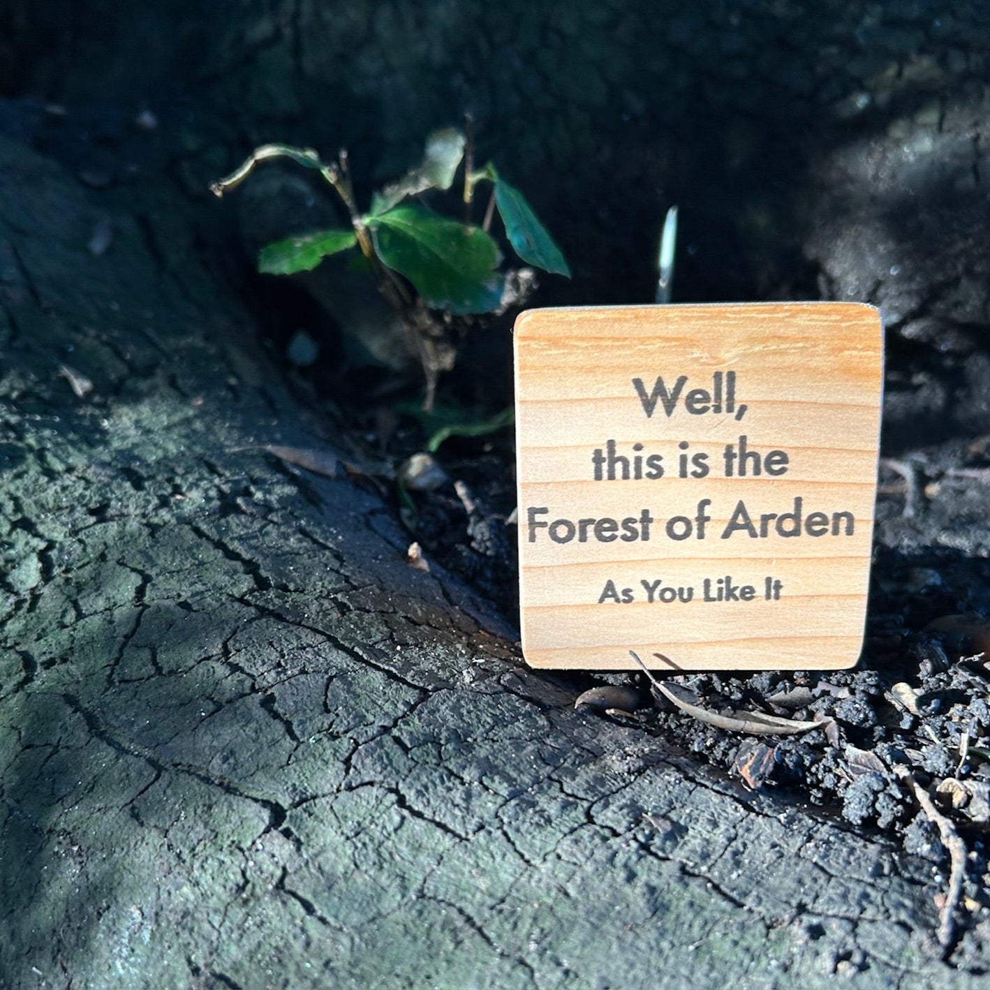 Wooden Shakespeare Quote Block: Cedar 'Well, this is the Forest of Arden'