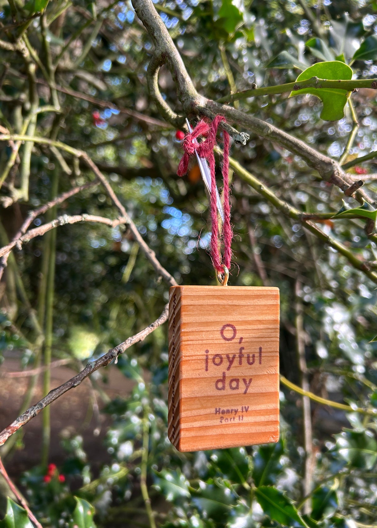 Wooden Hanging Christmas Decoration: Douglas Fir